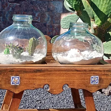 Calma Caleta De Fuste